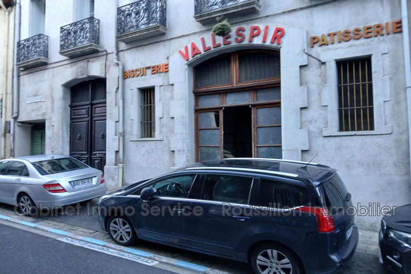 Professionnel murs local professionnel Arles-sur-Tech  