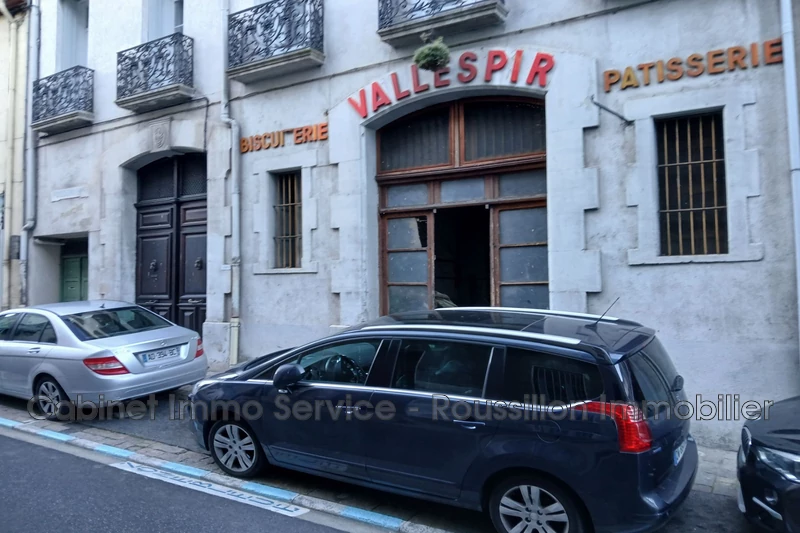 Professionnel murs local professionnel Arles-sur-Tech  