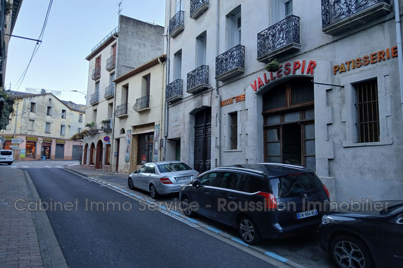 Professionnel murs local professionnel Arles-sur-Tech  
