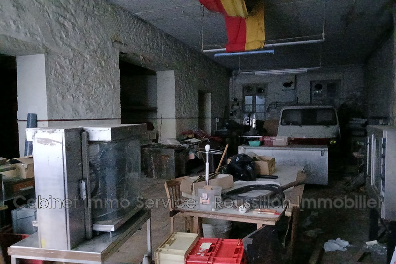 Professionnel murs local professionnel Arles-sur-Tech  