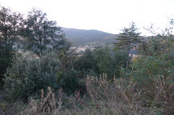 Vente terrain Amélie-les-Bains-Palalda  