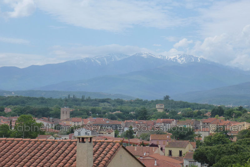 Photo Terrain Maureillas-las-Illas Village, achat terrain 1137 m²