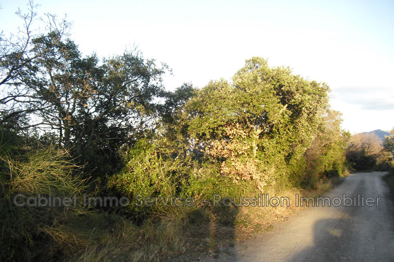 Vente Terrain Agricole Ceret 66400 15 000 Twimmo Com