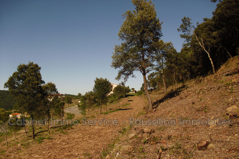 Vente terrain Amélie-les-Bains-Palalda  