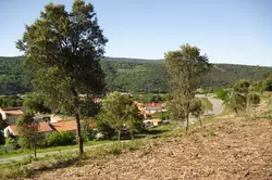 Vente terrain Amélie-les-Bains-Palalda  