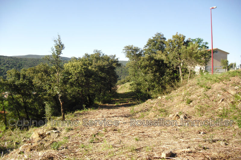 Vente terrain Amélie-les-Bains-Palalda  