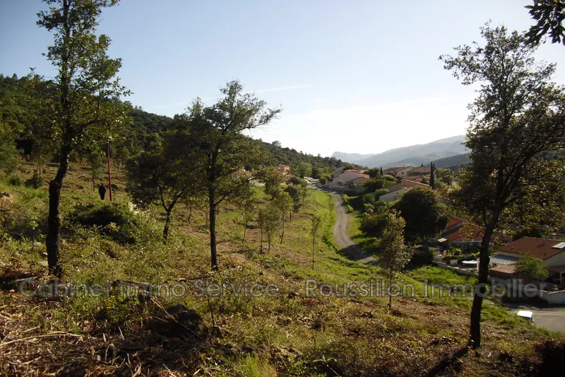 Vente terrain Amélie-les-Bains-Palalda  