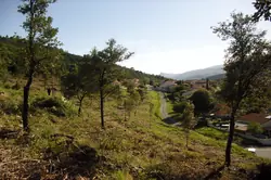 Vente terrain Amélie-les-Bains-Palalda  