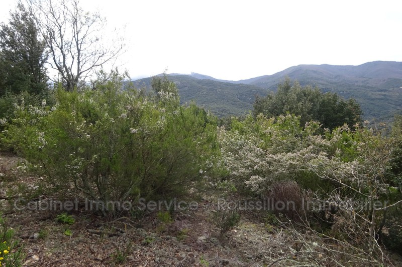 Vente terrain Reynès  