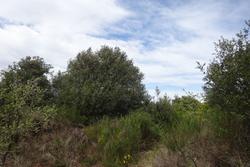 Vente terrain Reynès  