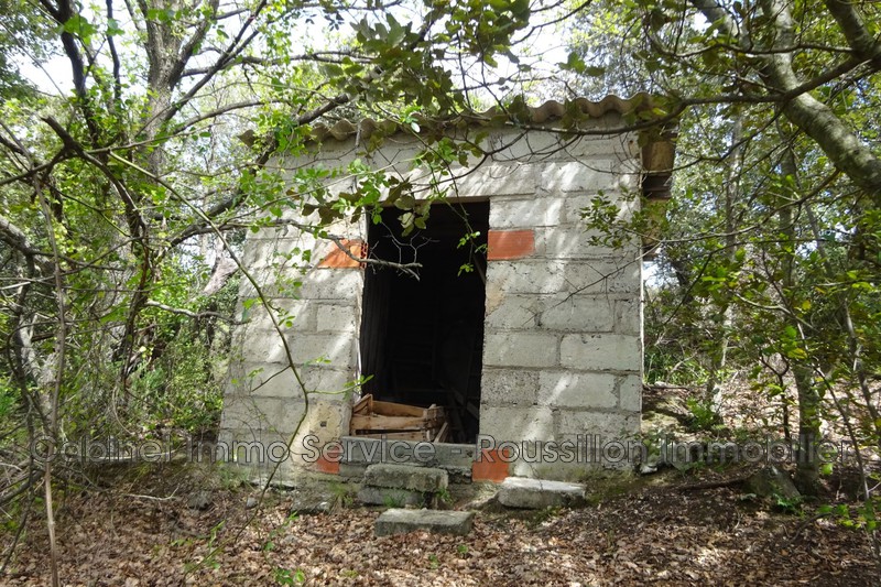 Vente terrain Reynès  