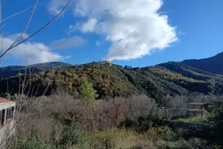 Vente terrain Amélie-les-Bains-Palalda  