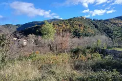 Vente terrain Amélie-les-Bains-Palalda  