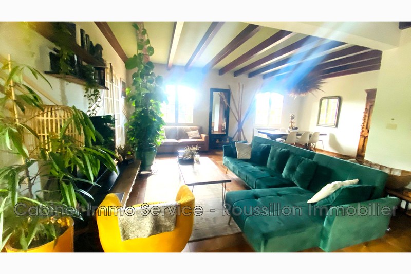 Vente maison de maître Céret  
