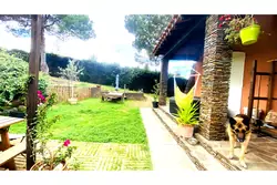 Vente maison de maître Céret  