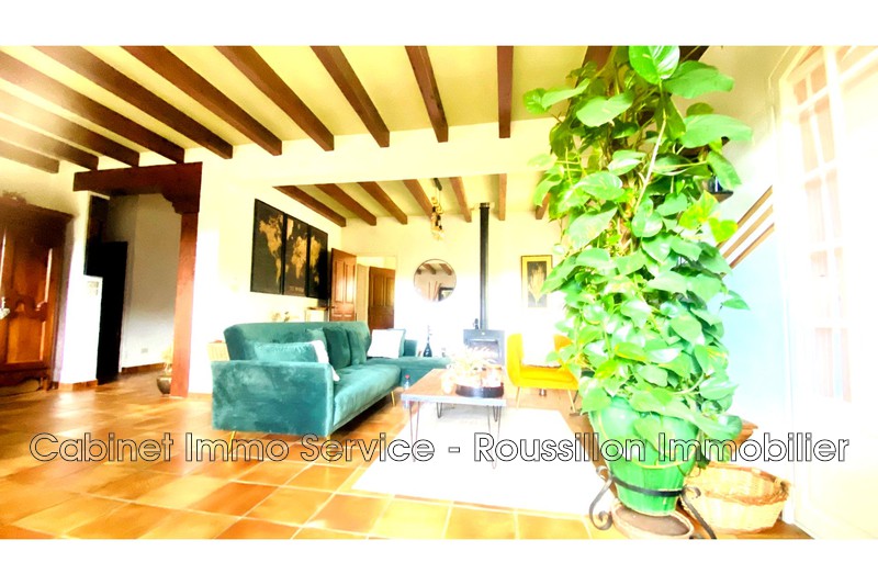 Vente maison de maître Céret  