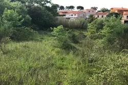 Vente terrain non constructible Maureillas-las-Illas  