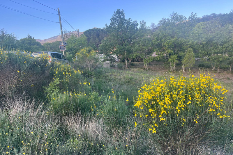 Vente terrain non constructible Maureillas-las-Illas  