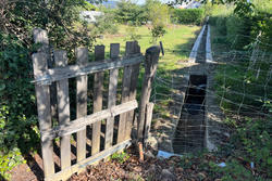 Vente terrain agricole Céret  