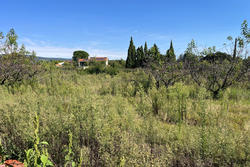 Vente terrain agricole Céret  