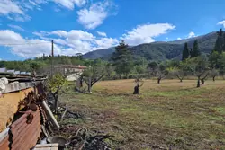 Vente terrain agricole Céret  