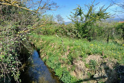 Vente terrain agricole Céret  