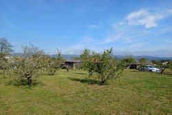 Vente terrain agricole Céret  