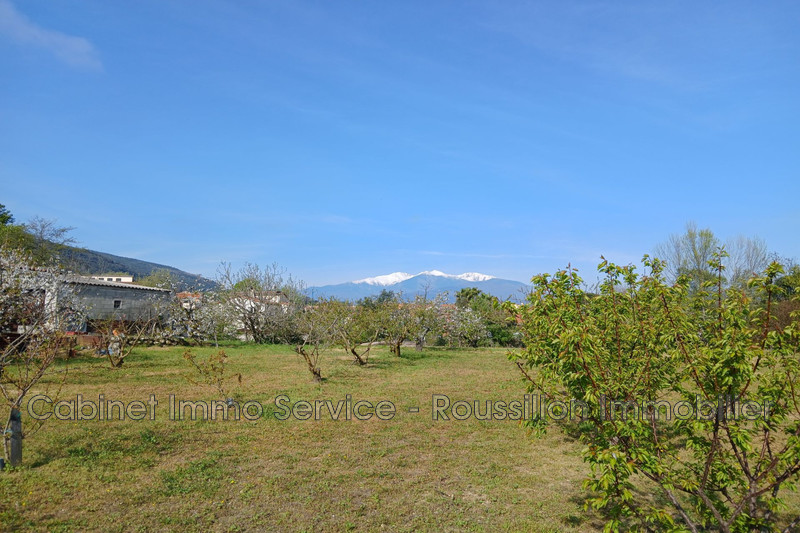 Vente terrain agricole Céret  
