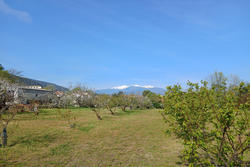 Vente terrain agricole Céret  