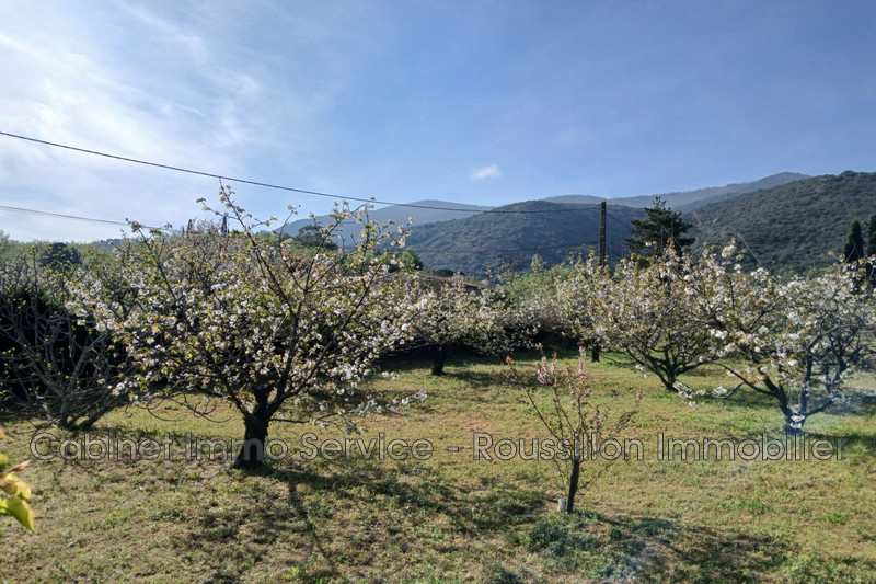 Vente terrain agricole Céret  