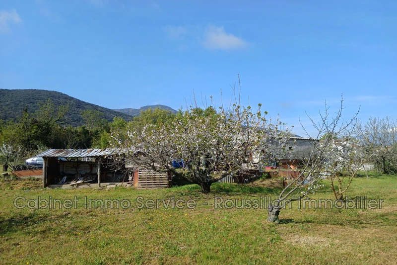 Vente terrain agricole Céret  