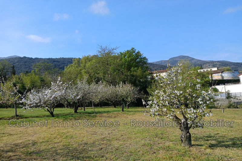 Vente terrain agricole Céret  