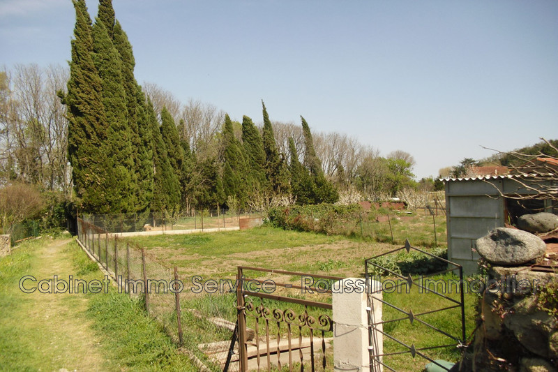 Vente terrain agricole Maureillas-las-Illas  