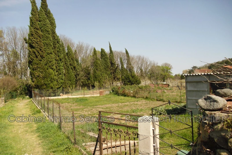 Vente terrain agricole Maureillas-las-Illas  
