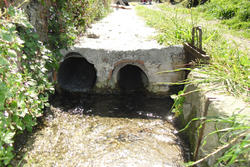 Vente terrain agricole Maureillas-las-Illas  