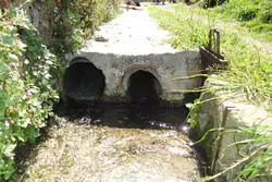 Vente terrain agricole Maureillas-las-Illas  