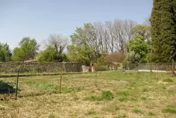 Vente terrain agricole Maureillas-las-Illas  