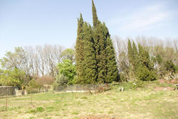 Vente terrain agricole Maureillas-las-Illas  