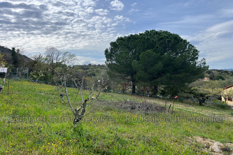 Vente terrain à lotissement Céret  