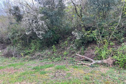 Vente terrain à lotissement Céret  