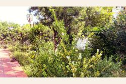 Vente maison Le Boulou  