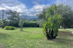 Vente terrain à bâtir Céret  