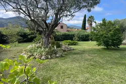 Vente terrain à bâtir Céret  