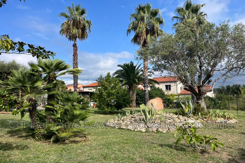Vente terrain à bâtir Céret  