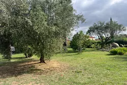 Vente terrain à bâtir Céret  