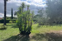 Vente terrain à bâtir Céret  