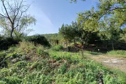 Vente terrain agricole Céret  