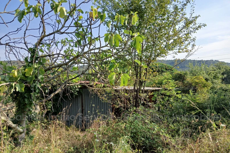 Vente terrain agricole Céret  