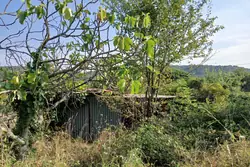 Vente terrain agricole Céret  