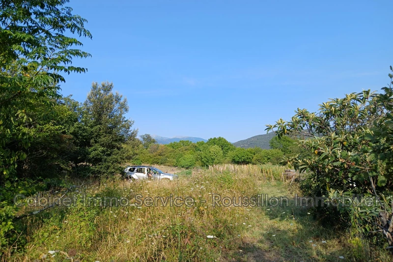 Vente terrain agricole Céret  